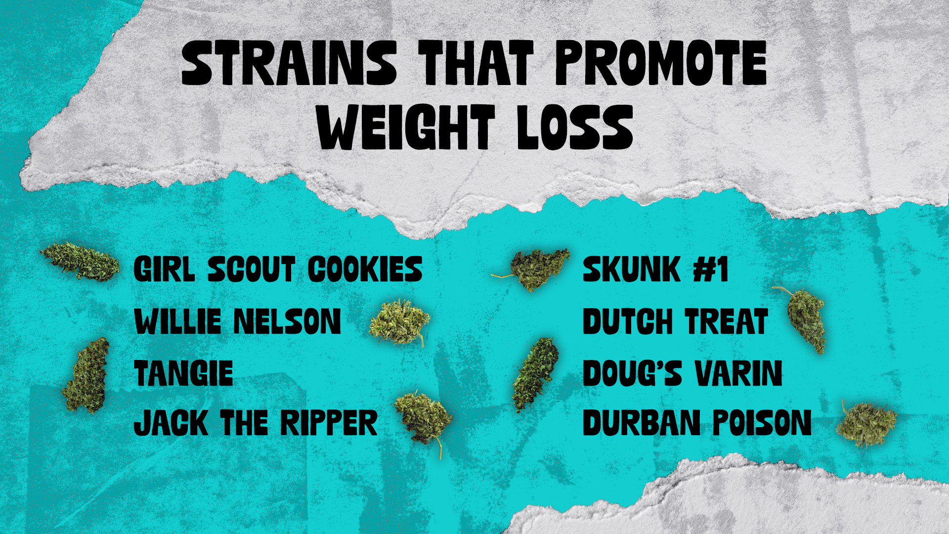 strains that promote weight loss
