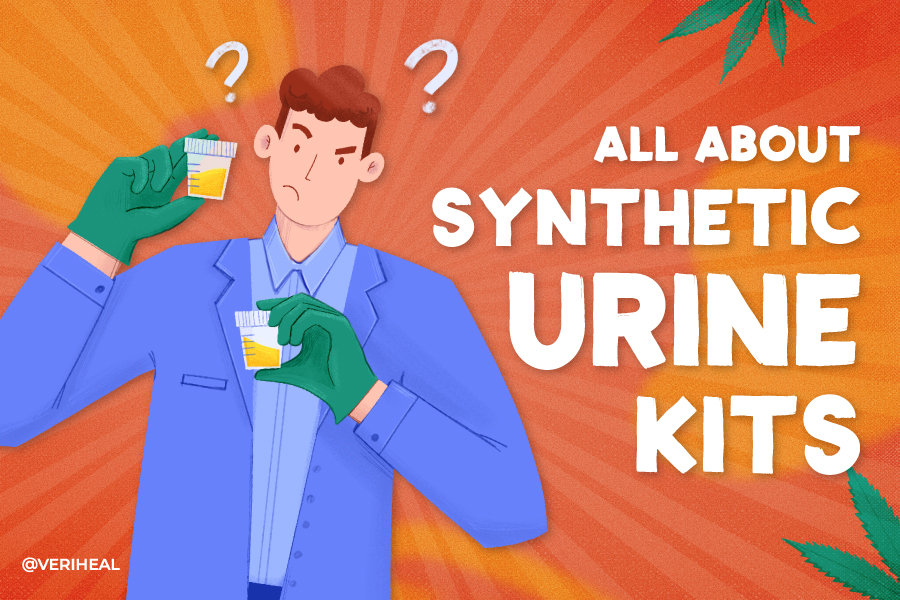 All About Synthetic Urine Kits for Passing Drug Tests