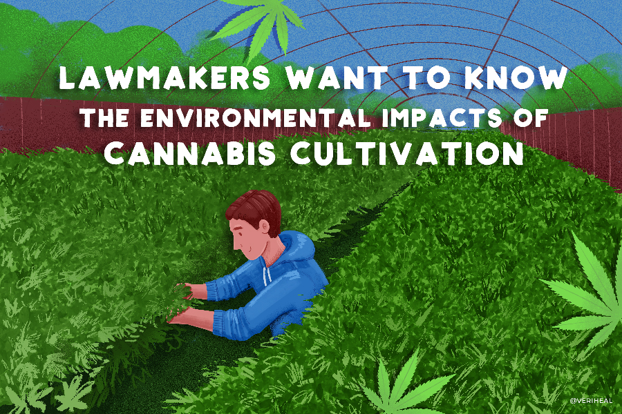 Lawmakers Want to Know the Environmental Impacts of Cannabis Cultivation