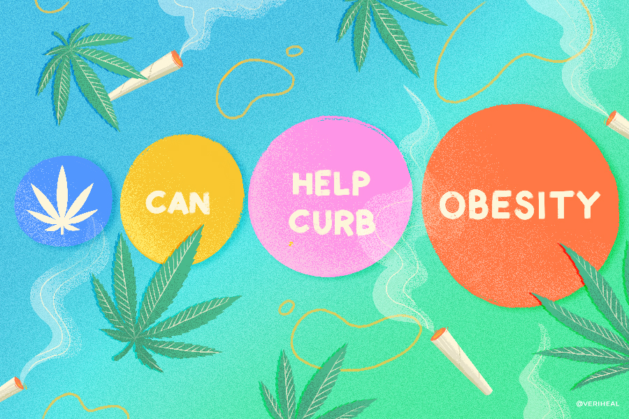 Cannabis and Obesity: New study ties cannabis to lower rates of obesity