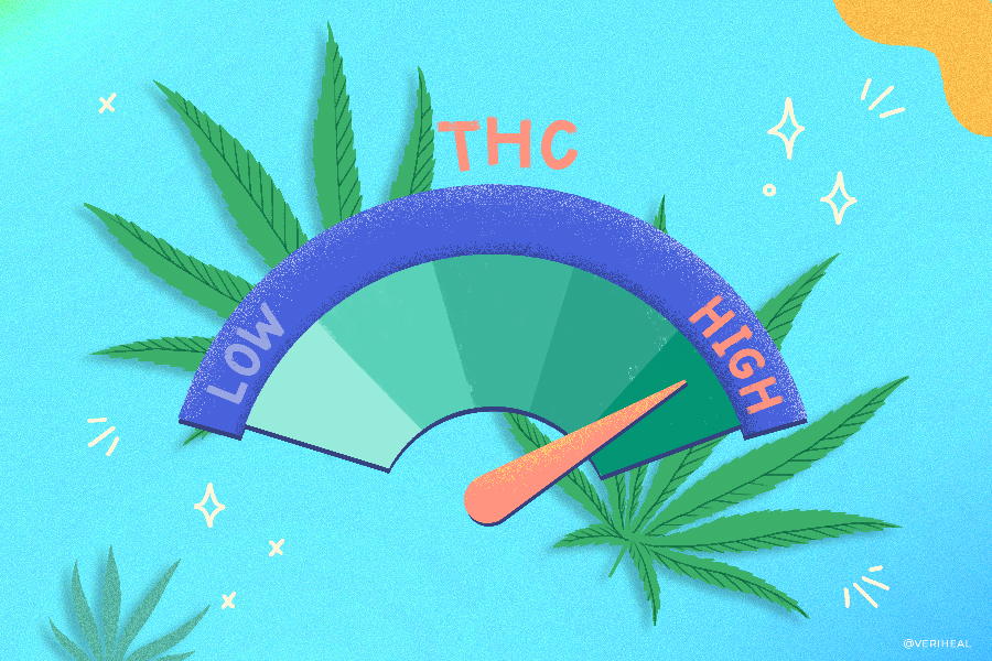 What Is Considered High-THC Cannabis?