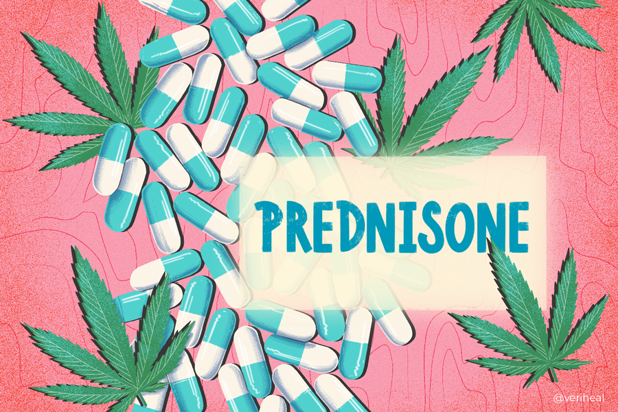 Can You Safely Use Cannabis While Being on Prednisone?