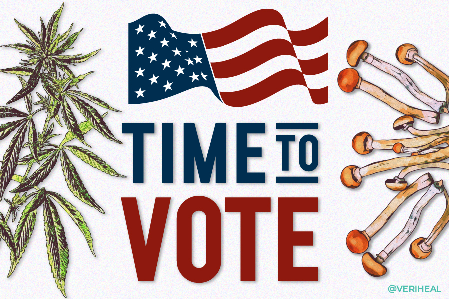 Which States Have Marijuana and Psychedelics on the Midterm Ballot This Year?