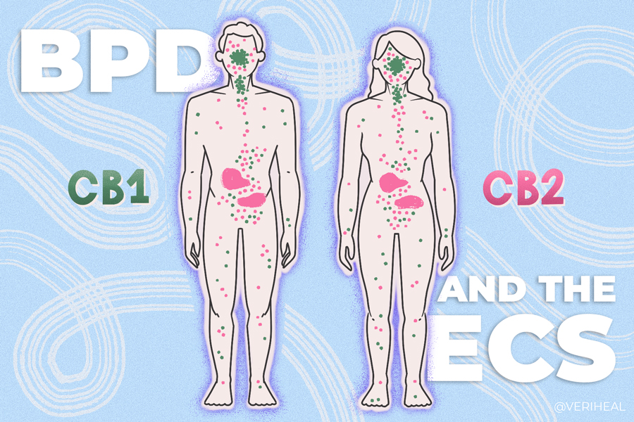 How Targeting the Endocannabinoid System Can Help Treat Borderline Personality Disorder