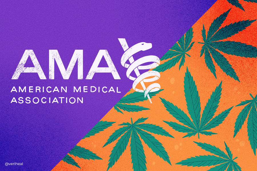 New American Medical Association Study Shows Cannabis Legalization Not Linked to Increased Psychosis