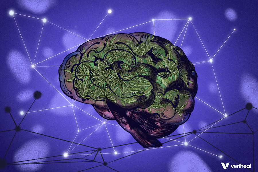 How Psychedelics Unlock the Hidden Potential of Neurons: A Breakthrough Study Explained