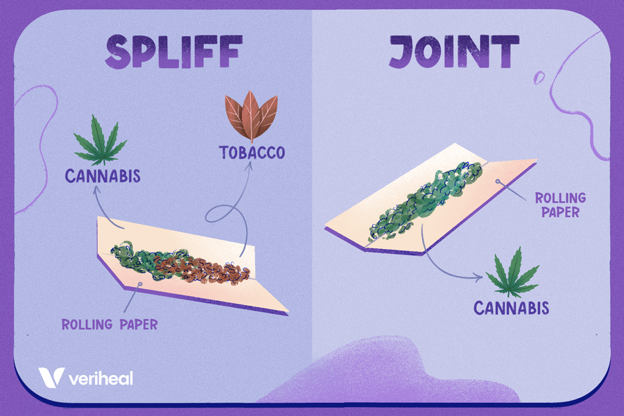 Choosing Between Spliffs and Joints: A Stoner’s Guide to Understanding the Difference