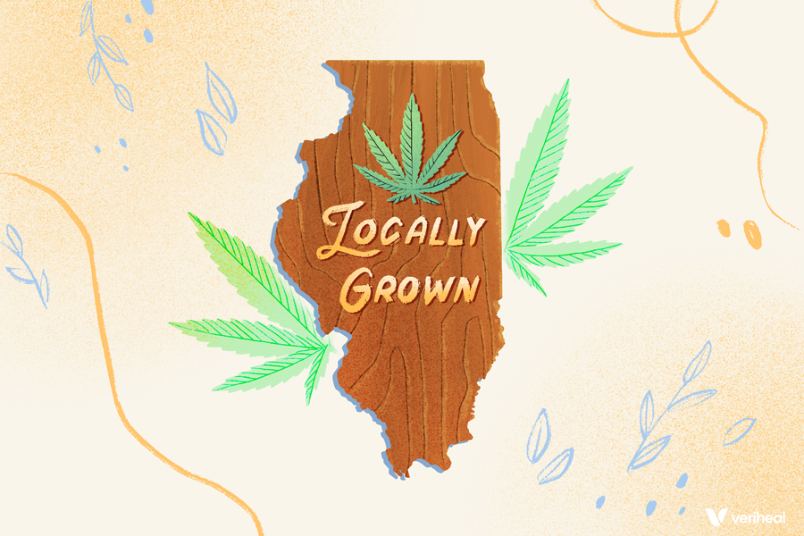 Craft Cannabis Growers in Illinois Approved for Extension to Launch Operations