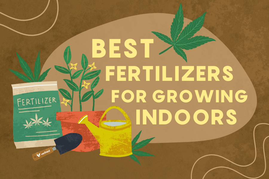 Best Fertilizers for Indoor Cannabis Cultivation