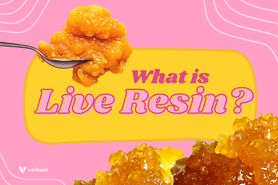 From Plant to Concentrate: How Live Resin Preserves the Essence of Cannabis