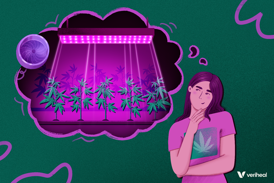 Indoor Cannabis Cultivation: Designing the Perfect Grow Room for Healthy and Robust Plants