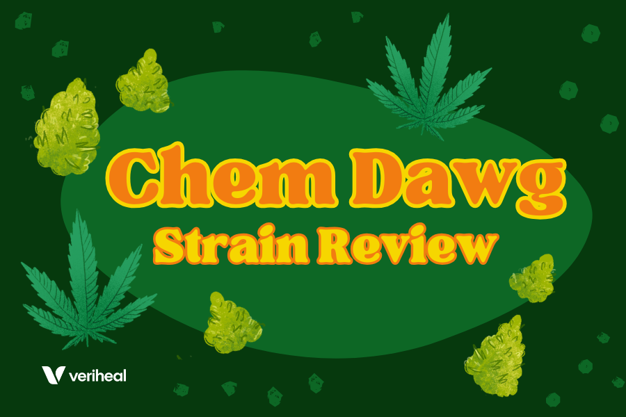 Chem Dawg Strain Review: A Potent Sativa-Leaning Hybrid