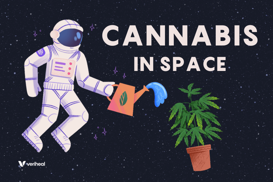 Exploring New Highs with Astrobotany: Cannabis Plants in Space