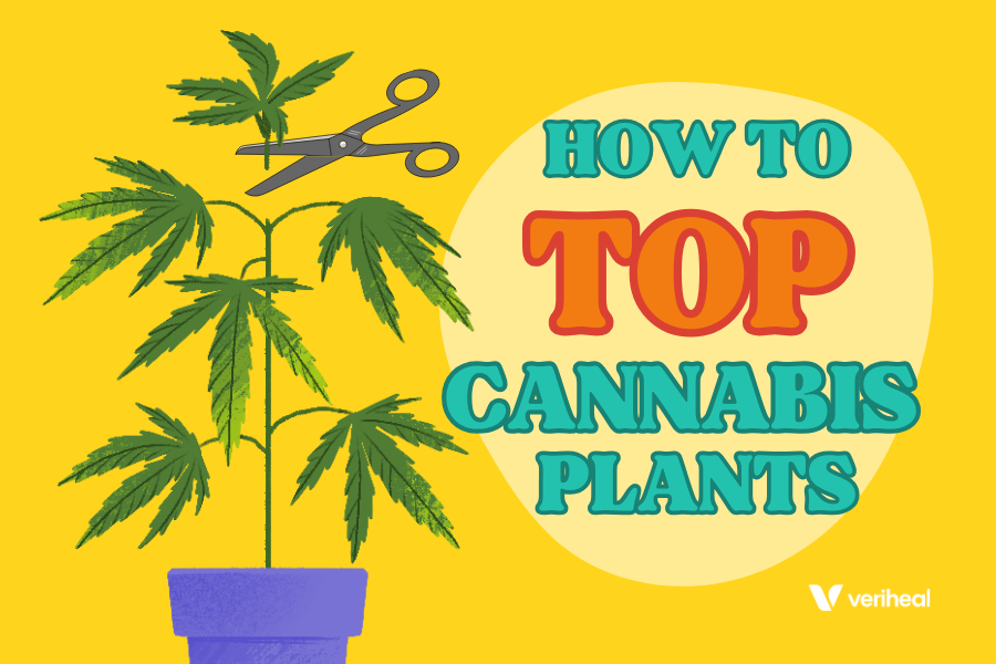 How to Top Cannabis Plants for Maximum Growth: Essential Tips