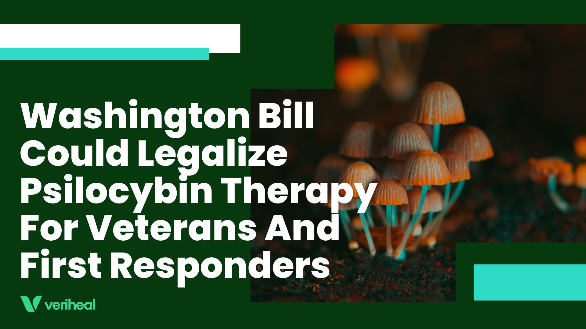 Washington Bill Could Legalize Psilocybin Therapy For Veterans And First Responders
