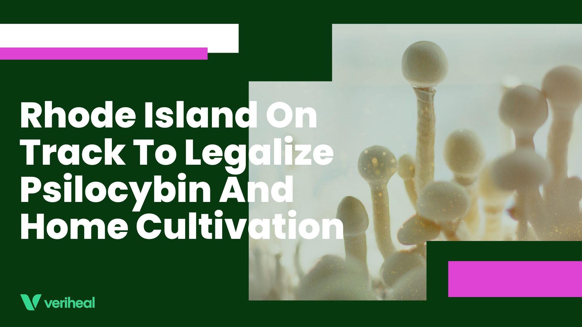 Rhode Island On Track To Legalize Psilocybin And Home Cultivation