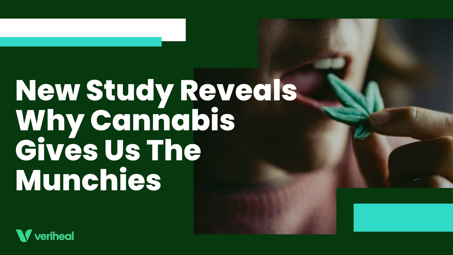New Study Reveals Why Cannabis Gives Us The Munchies