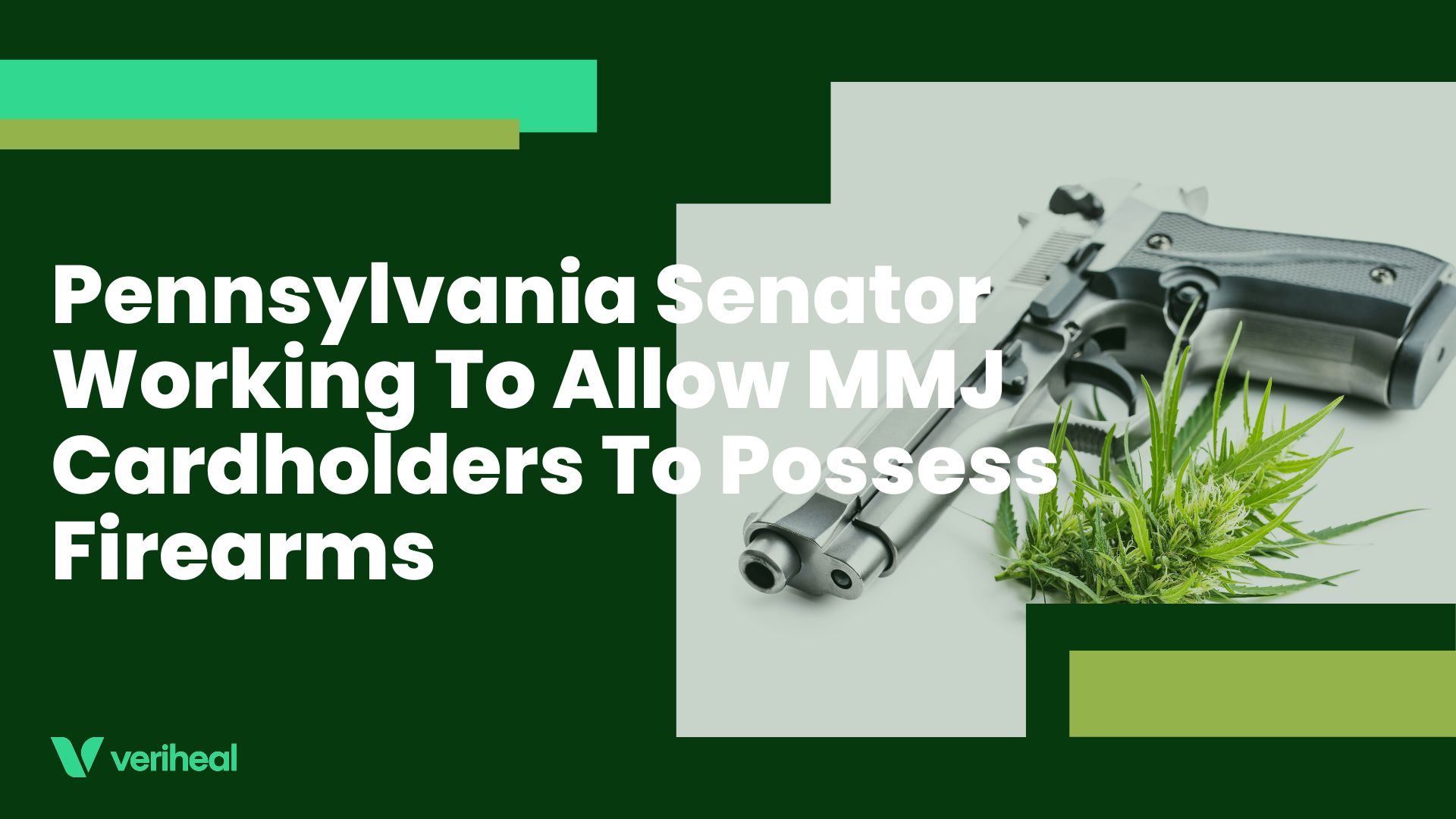 Pennsylvania Senator Working To Allow MMJ Cardholders To Possess Firearms