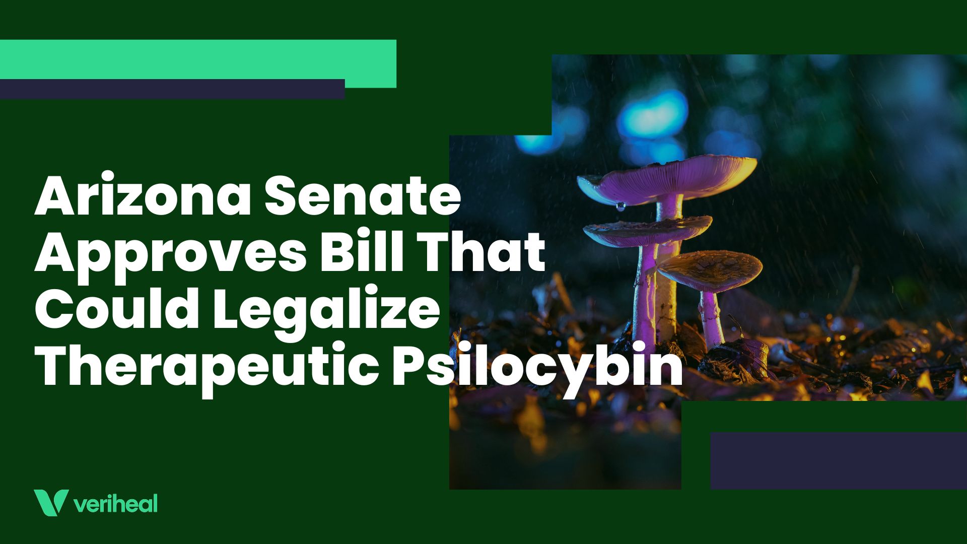 Arizona Senate Approves Bill That Could Legalize Therapeutic Psilocybin