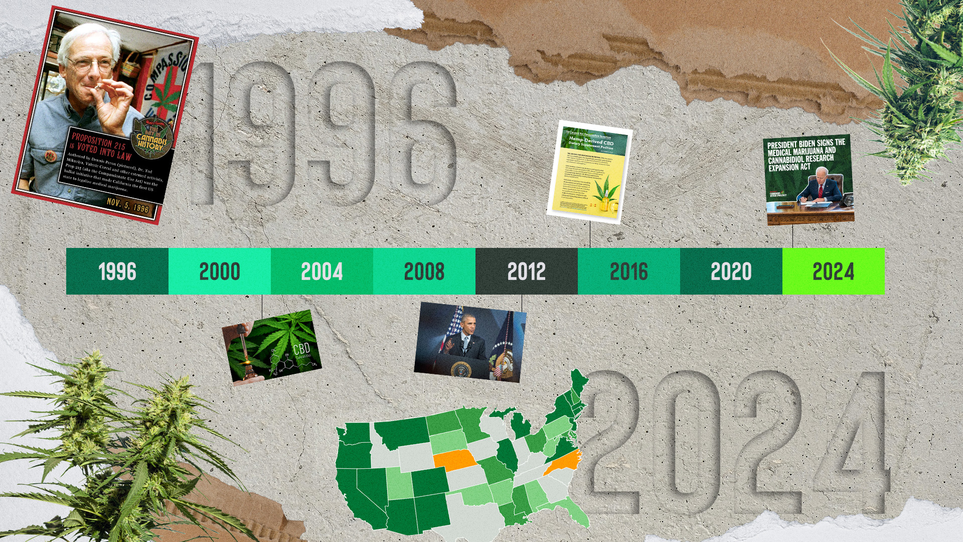 From 1996 to 2024: How Has Medical Cannabis Changed?