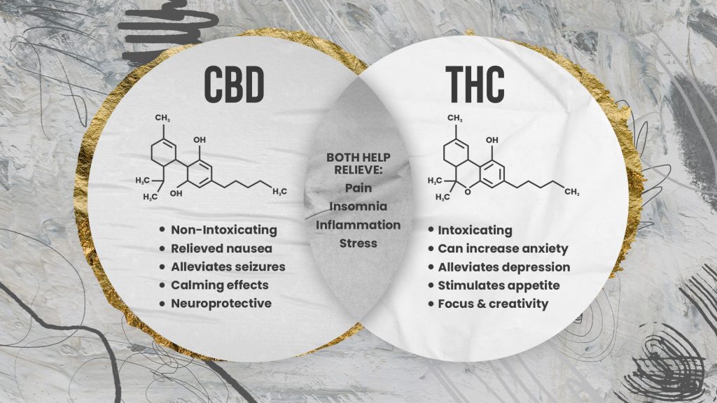 cbd vs. thc