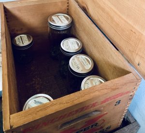 cannabis stored in jars