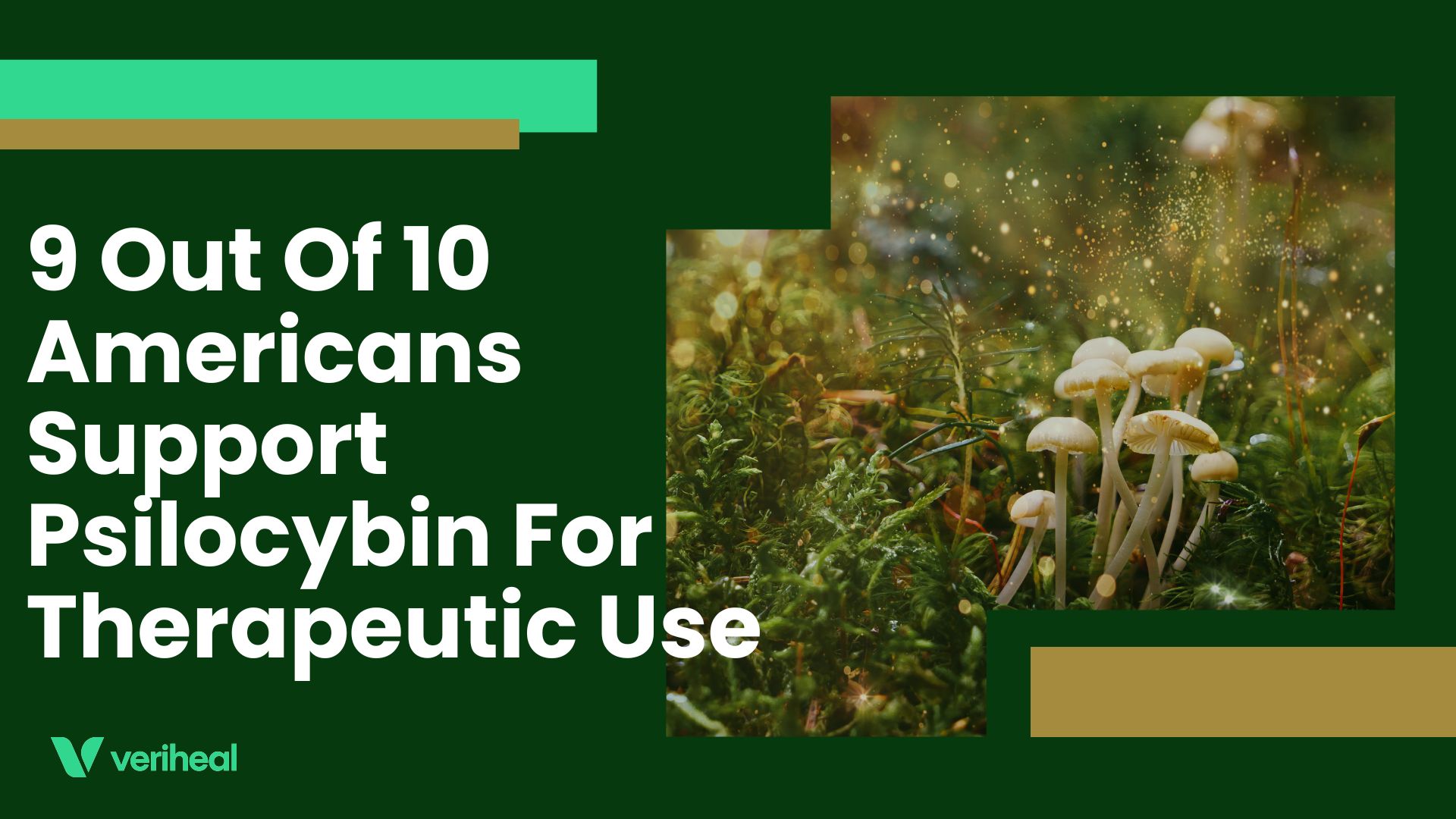 9 Out Of 10 Americans Support Psilocybin For Therapeutic Use