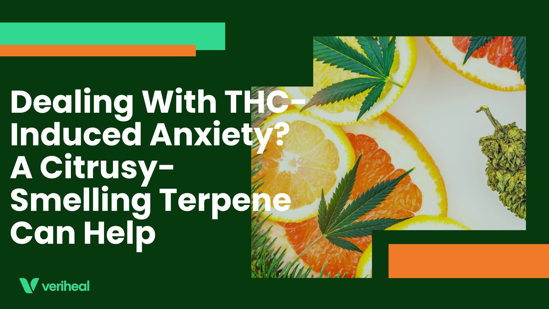 Dealing With THC-Induced Anxiety? A Citrusy-Smelling Terpene Can Help
