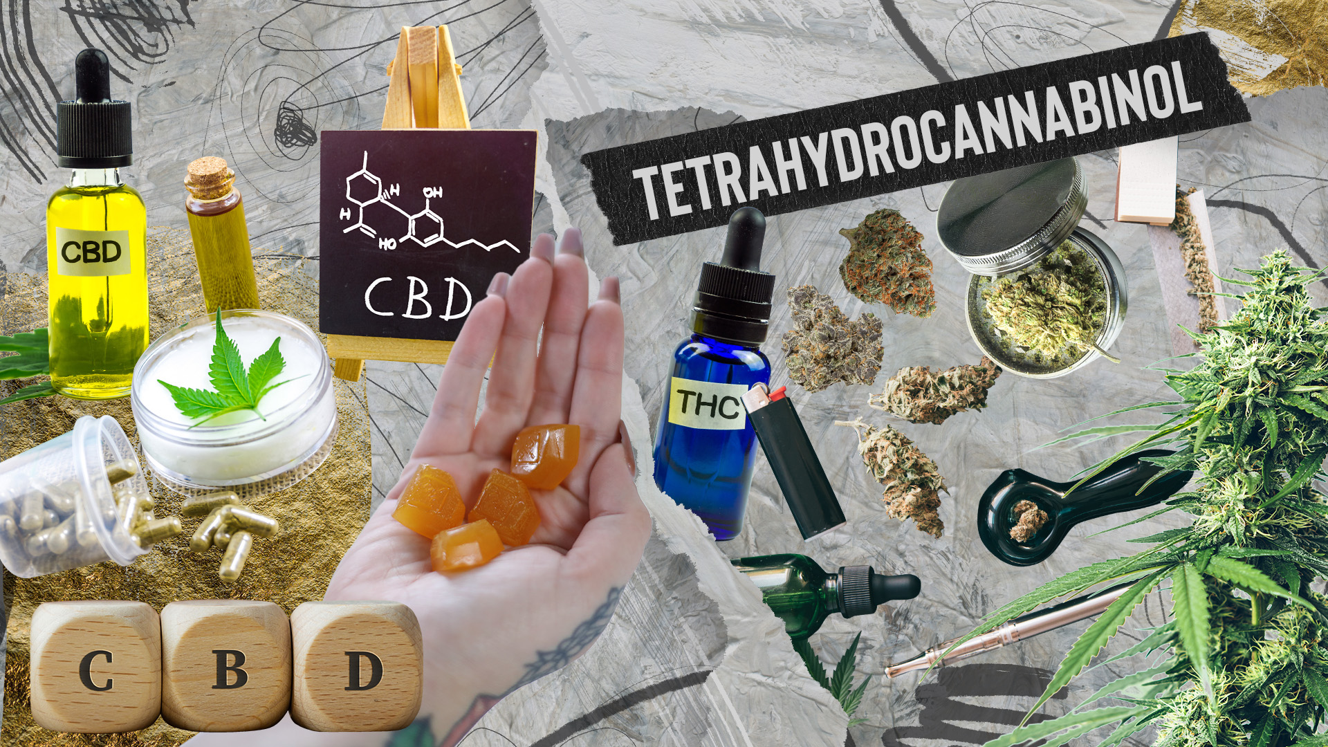 CBD vs THC: What’s the Difference?