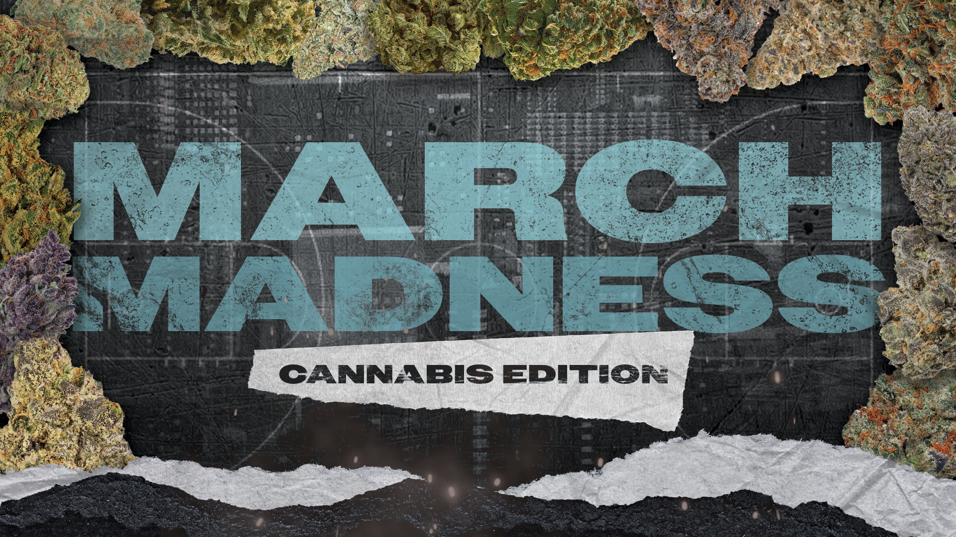 March Madness Cannabis Edition: Vote For Your Favorite Strain