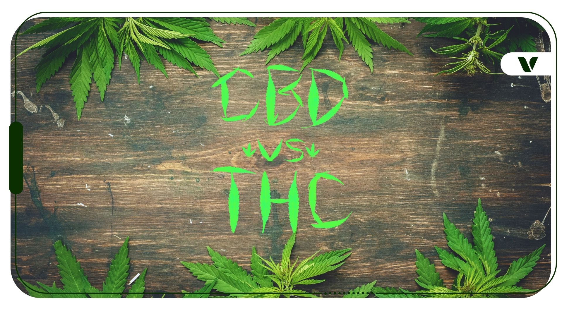 CBD vs THC: What’s the Difference?