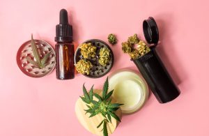 cannabis cbd flower bud s and thc