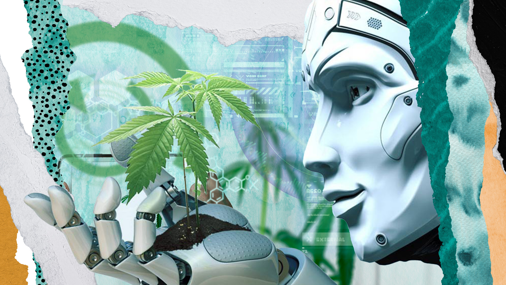 AI And Cannabis: Will Artificial Intelligence Affect the Cannabis Industry?