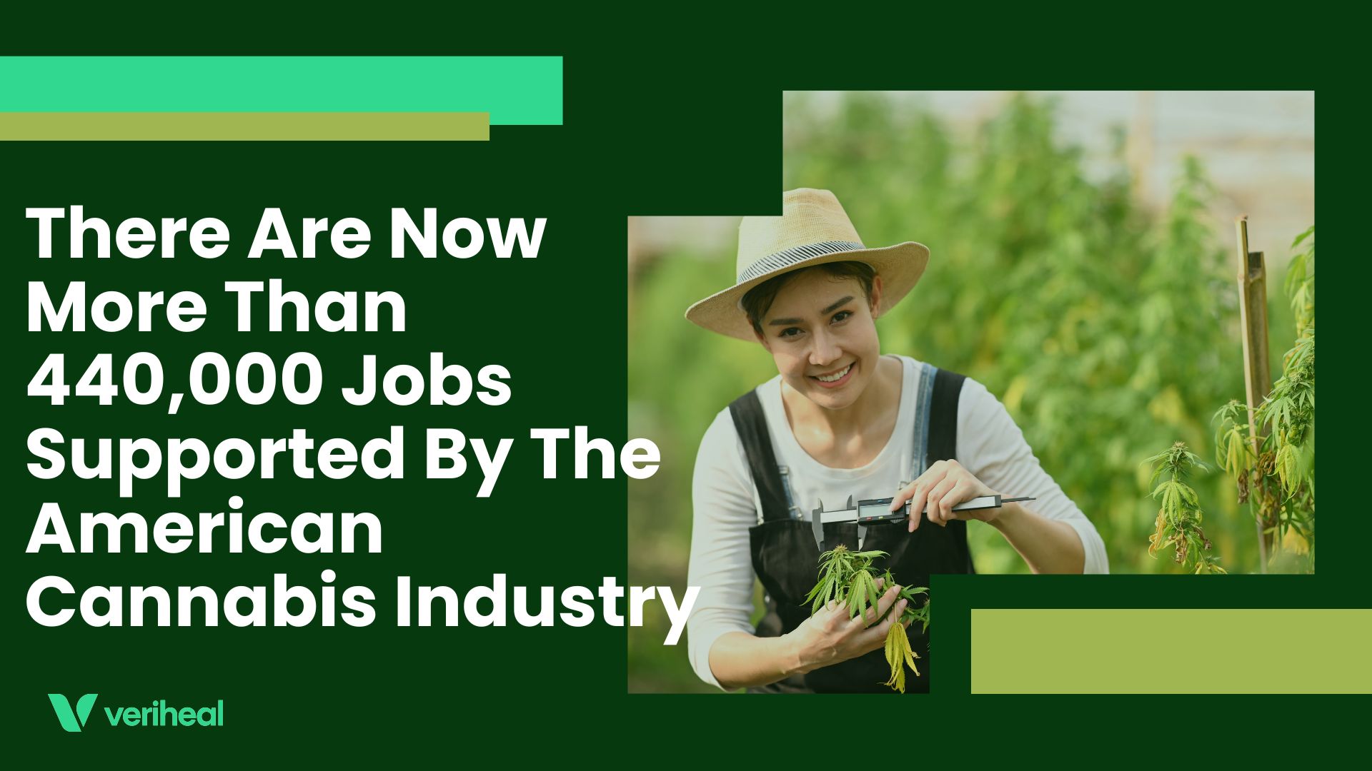 There Are Now More Than 440,000 Jobs Supported By The American Cannabis Industry