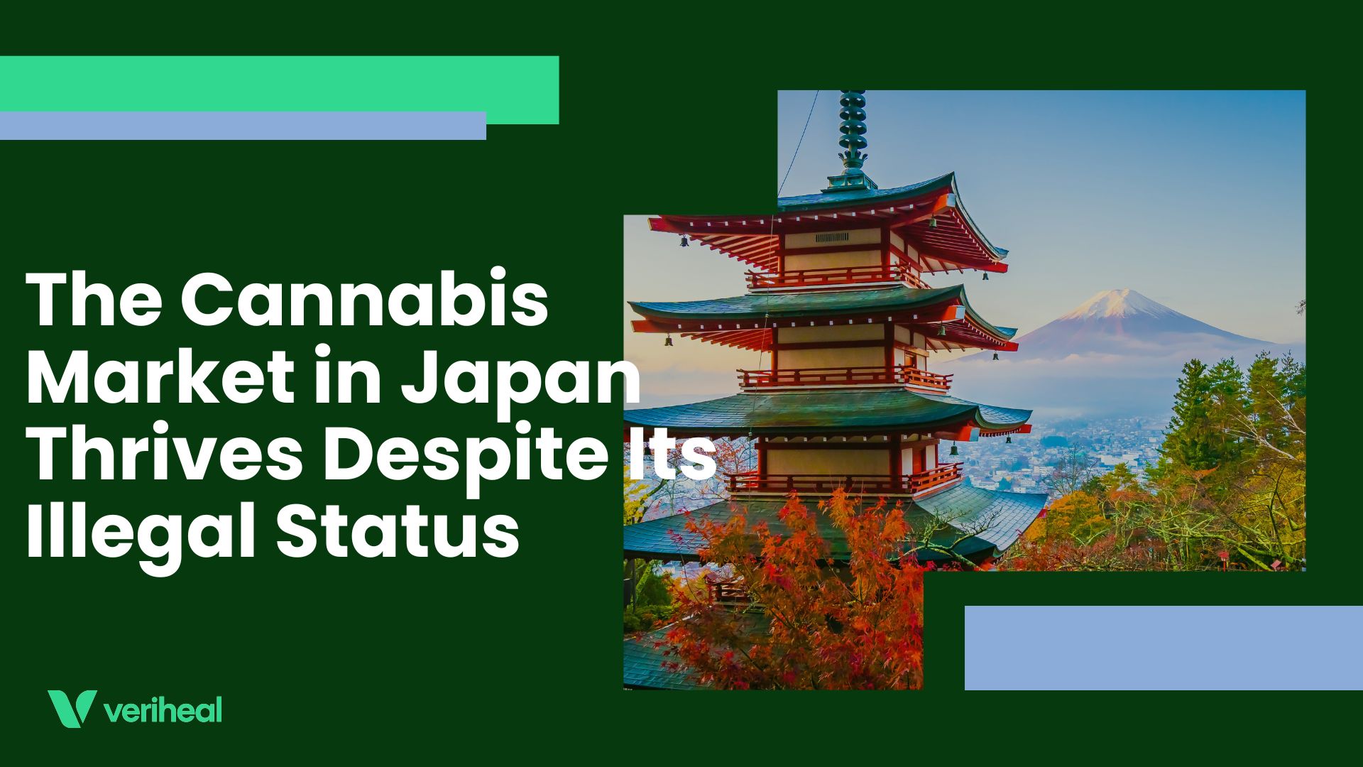 The Cannabis Market in Japan Thrives Despite Its Illegal Status