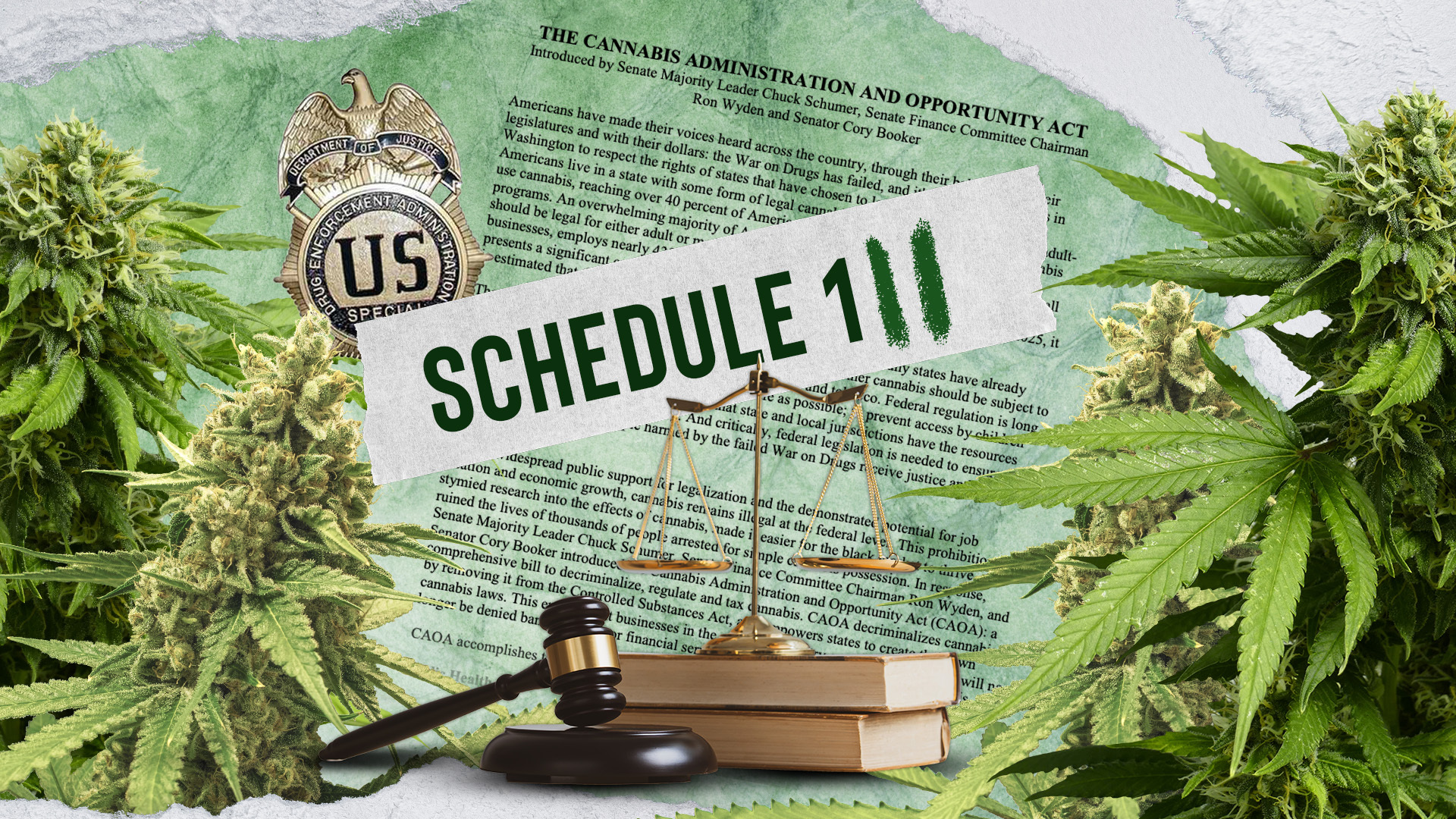 cannabis rescheduled
