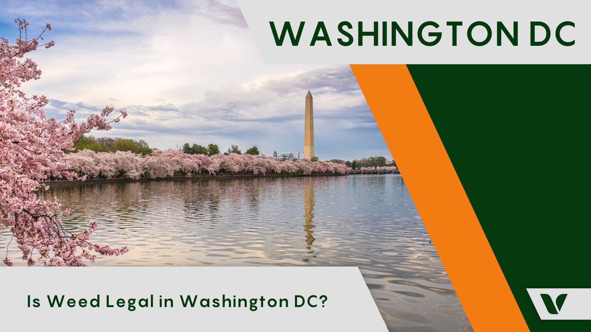 Is Weed Legal in DC? DC Weed Laws Explained
