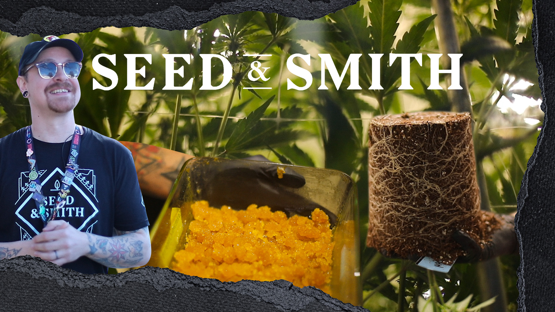 Behind-The-Scenes of a Cannabis Grow Facility with Seed & Smith