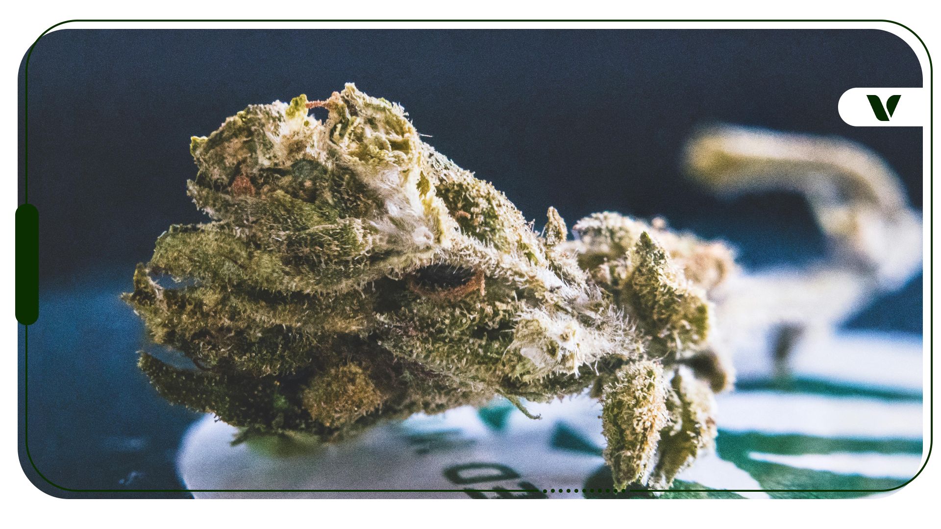 What Is Shake Weed: Everything You Need To Know