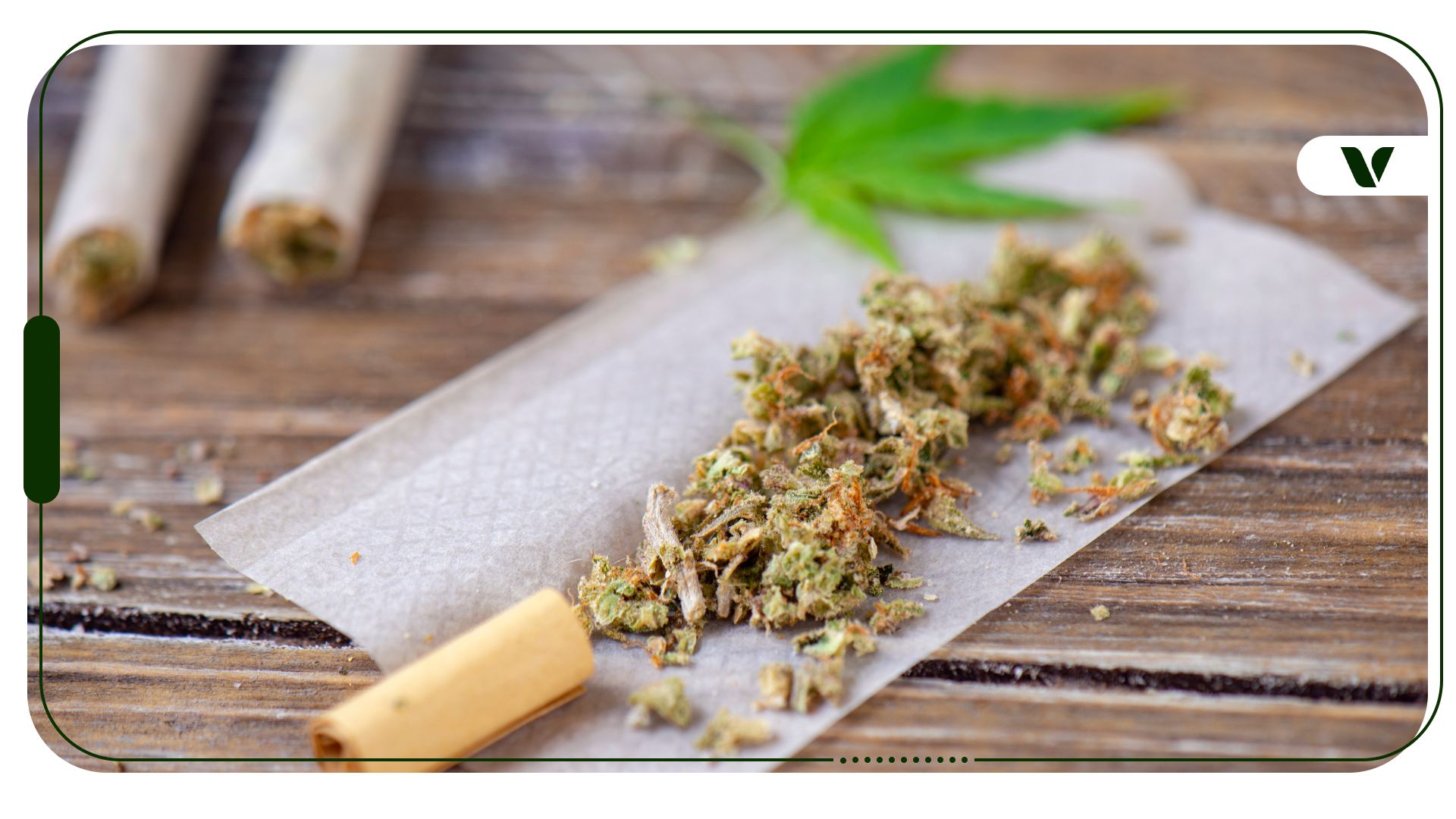 How to Choose the Best Blunt or Joint Paper