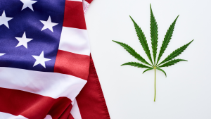 Cannabis leaf and U.S. flag