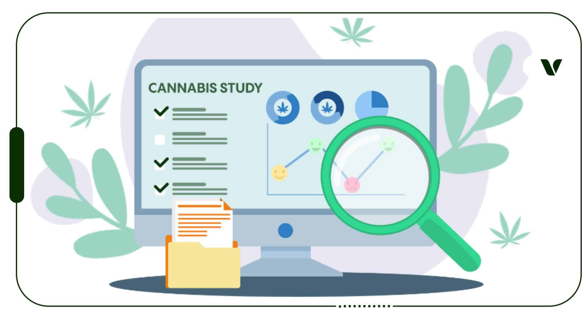 national cannabis study