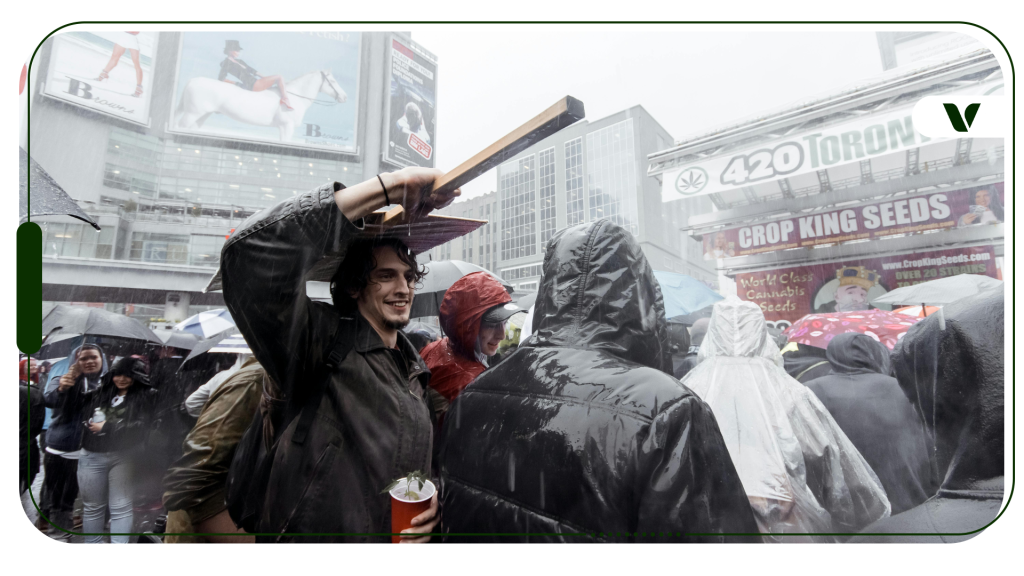 How 4 20 Became The World S Biggest Cannabis Holidaycannabis Central