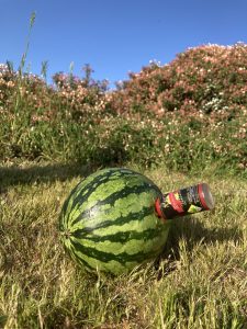 Infusing cannabis into watermelon using bottle