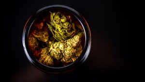 cannabis in a mason glass jar