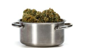 cannabis in a pot