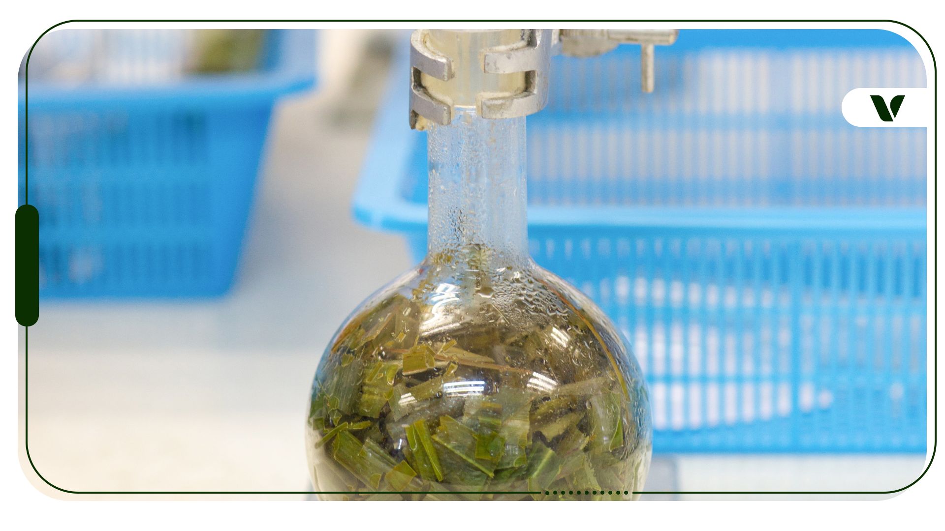 How Cannabis Concentrates Are Made: Ways To Make Cannabis Extracts