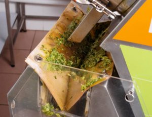 Photo of green cold pressed juice process in an industrial kitchen.