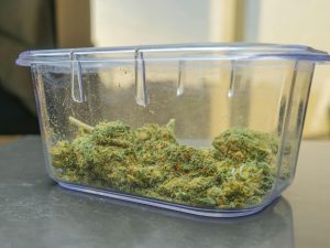 Cannabis in a glass bowl