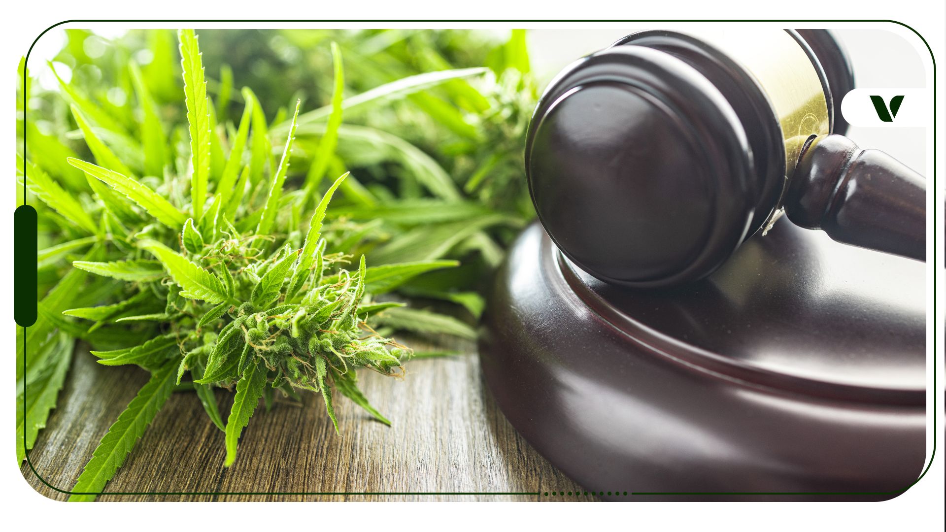 Is Cannabis Prohibition Unconstitutional?